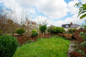Carter Knowle Road